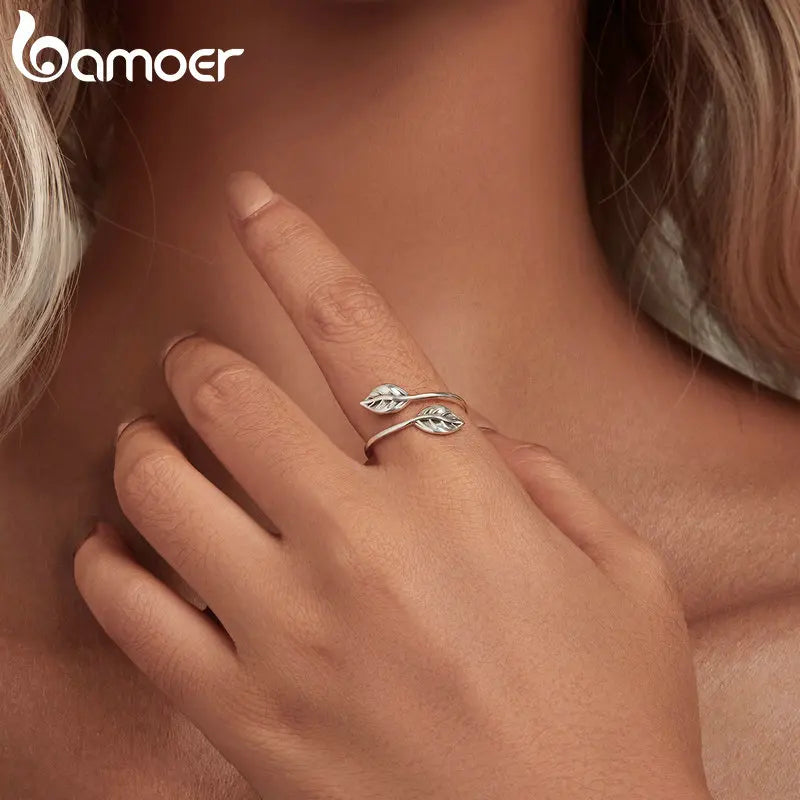 S0b30252442934aaaa24962ccd5e6a299n