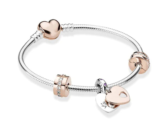 Pulsera estilo Pandora con Charms incluidos